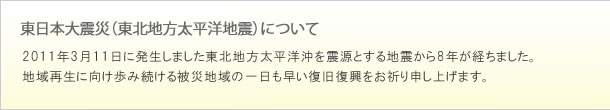 東北地方太平洋地震について